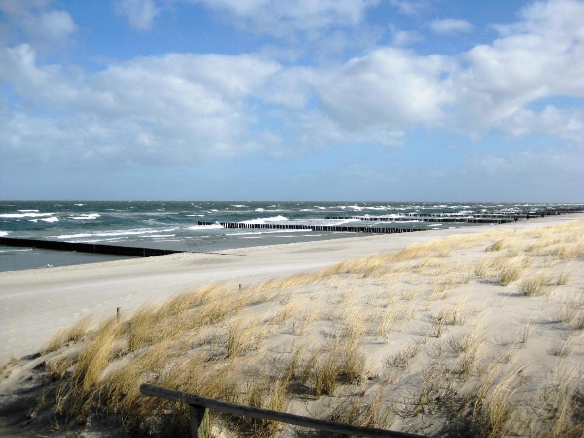 Residenz Am Strand Wohnung 1-17 زنغست المظهر الخارجي الصورة
