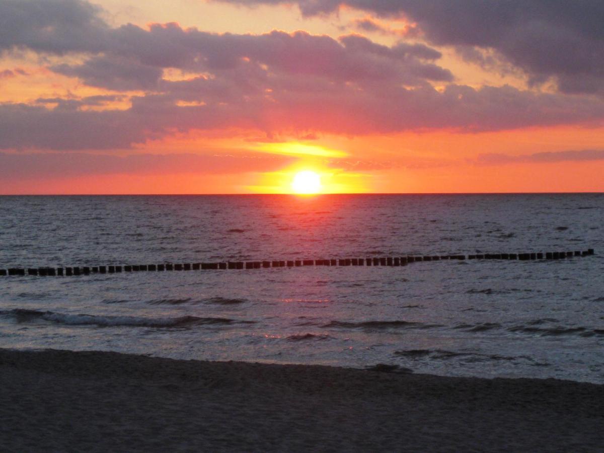 Residenz Am Strand Wohnung 1-17 زنغست المظهر الخارجي الصورة